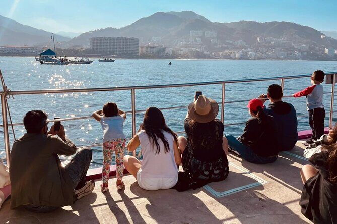 Humpback Whale Tour, 4 Hours with Food and Outdoor Bar - An In-Depth Look at the Whale-Watching Tour