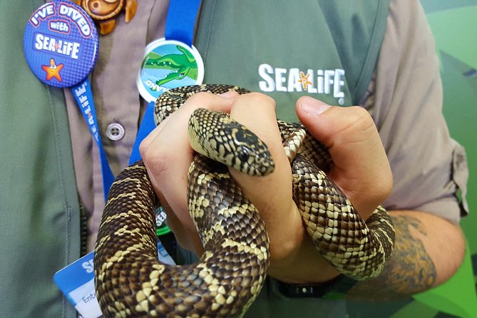 Hunstanton SEA LIFE Sanctuary General Admission Ticket - Creature Zones