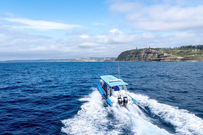 Hunter Coastal Adventure Tour by Boat from Newcastle - Who Will Love This Tour?
