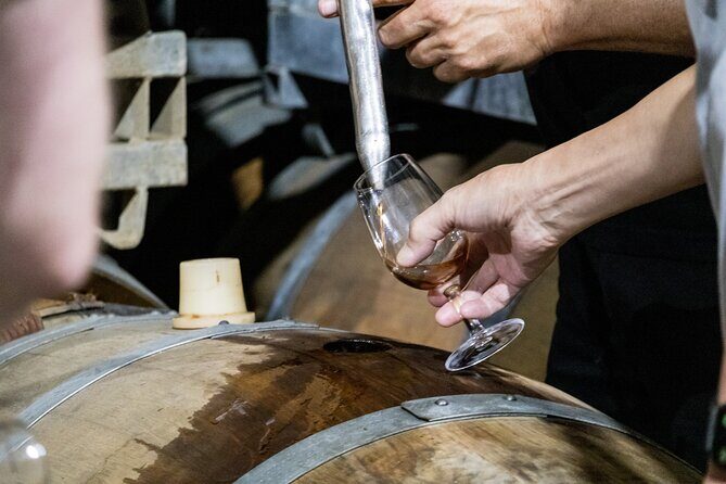 Hunter Valley All Inclusive, Wine, Chocolate Tasting and Lunch - The Itinerary: A Closer Look at Each Stop