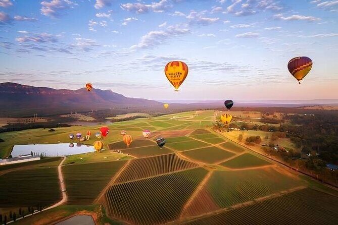 Hunter Valley Day Tour - Key Points