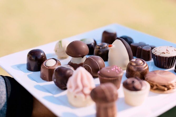 Hunter Valley Highlights Private Wine Tour from Sydney - The Practical Side: Transportation and Timing