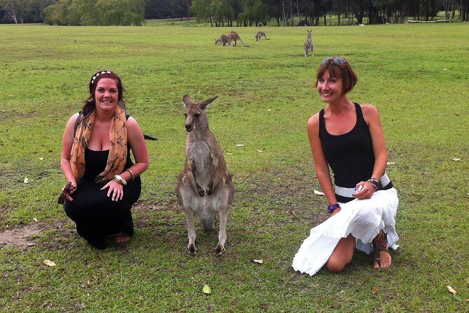 Hunter Valley Private Wine Tasting Tour from Sydney - The Journey Begins: From Sydney to Hunter Valley