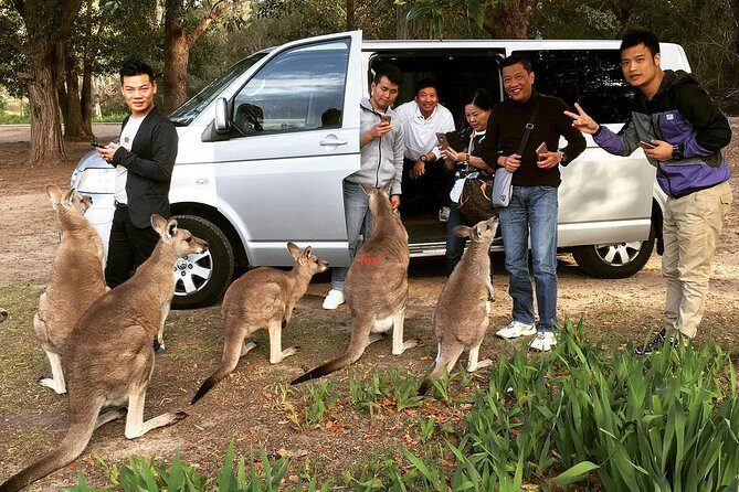 Hunter Valley Private Wine Tasting Tour from Sydney - What’s Included and What to Expect