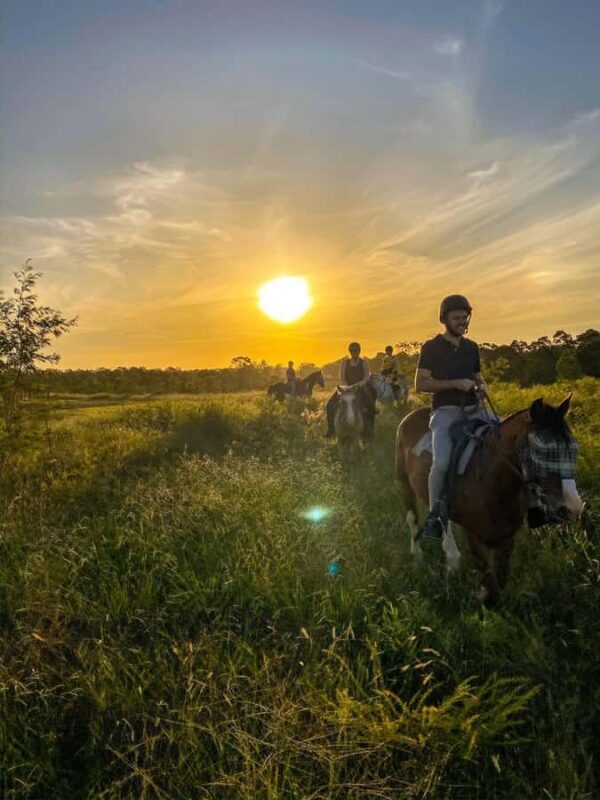 Hunter Valley: Sunset Horse Riding Tour 90min - Key Points