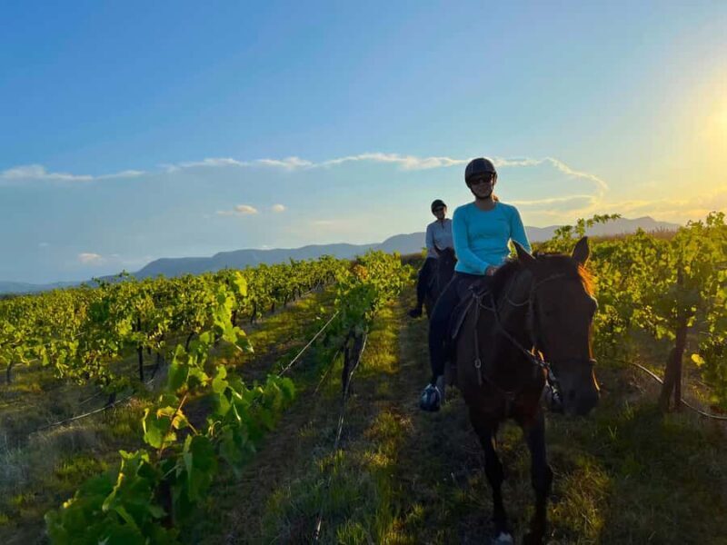 Hunter Valley: Sunset Horse Riding Tour 90min - What’s Included and What to Expect