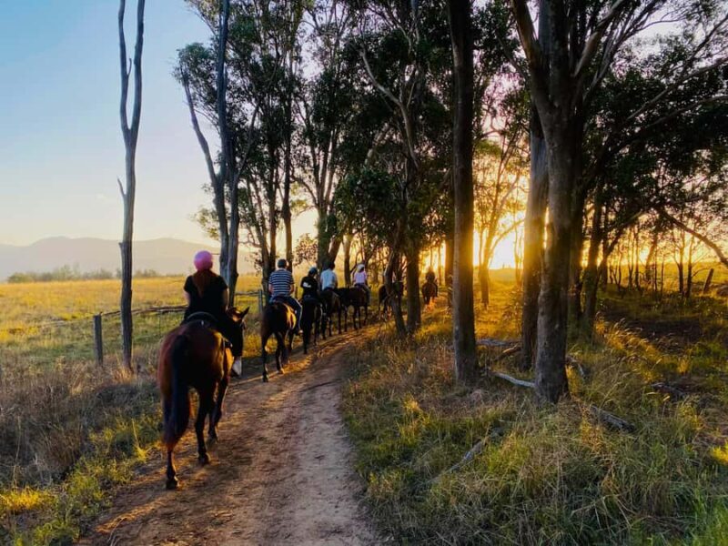 Hunter Valley: Sunset Horse Riding Tour 90min - The Experience in Detail