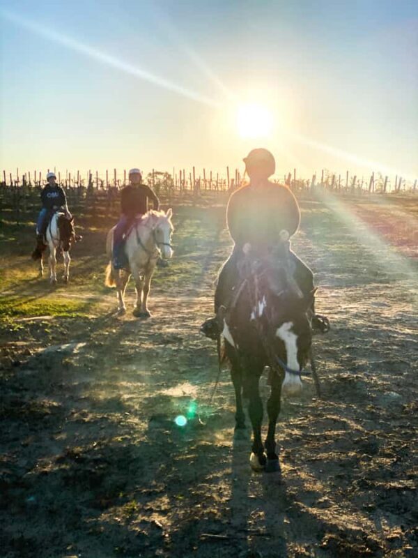 Hunter Valley: Sunset Horse Riding Tour 90min - FAQs