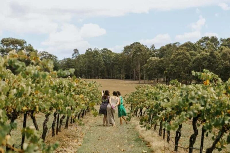Hunter Valley: Tastes of the Hunter Half Day Tour - The Real Experience: What Travelers Say