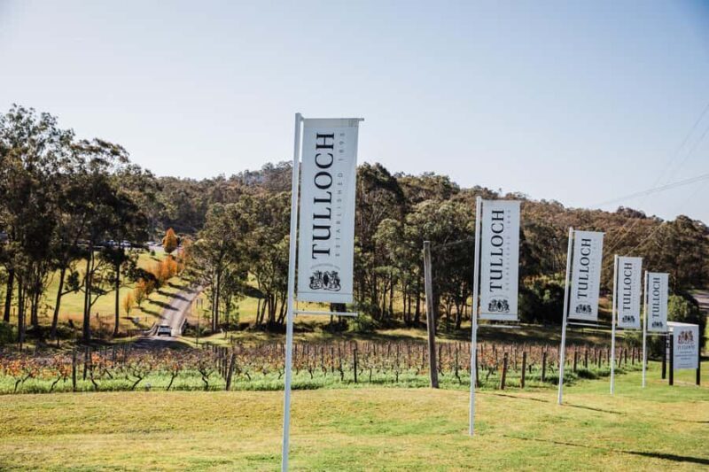 Hunter Valley: Tasting of 6 Shiraz Vintages at Tulloch Wines - Final Thoughts