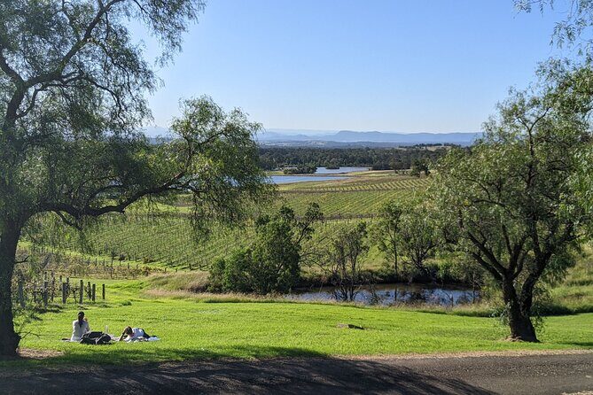 Hunter Valley wine and cheese starting from the Hunter region - Optional Upgrades and Their Value