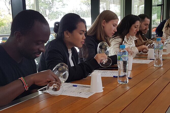 Hunter Valley Wine Country Helicopter Flight from Cessnock - The Sum Up