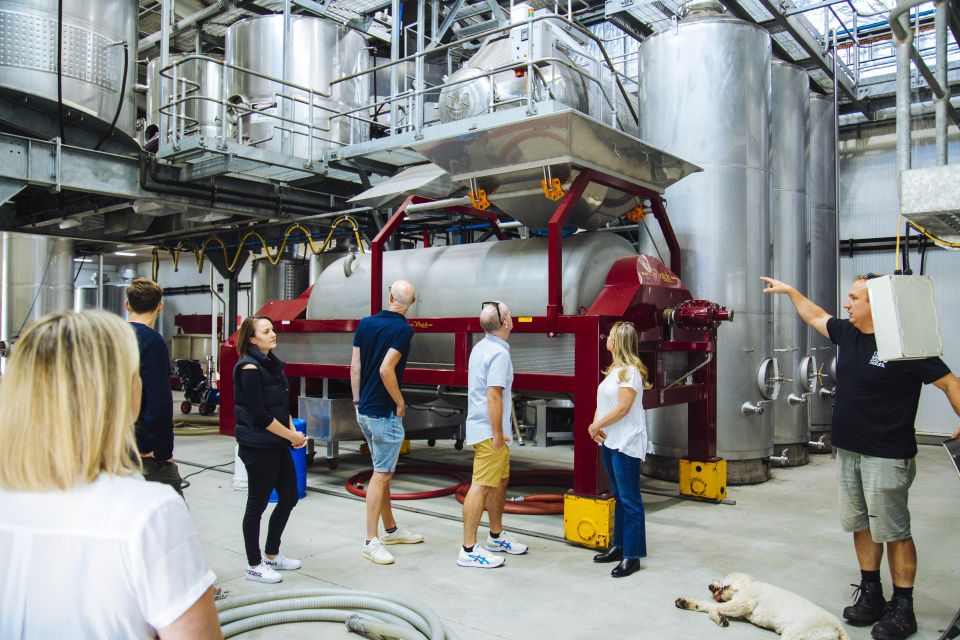 Hunter Valley: Wine, Spirits, and Cheese Tour With Lunch - Important Information and Recommendations