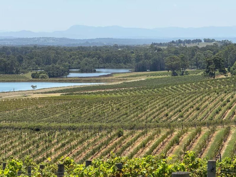 Hunter Valley Wine Tasting | Private Day Tour | From Sydney - Key Points