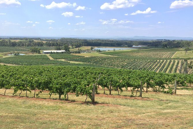 Hunter Valley Wine Tasting Private Tour From Sydney - Frequently Asked Questions