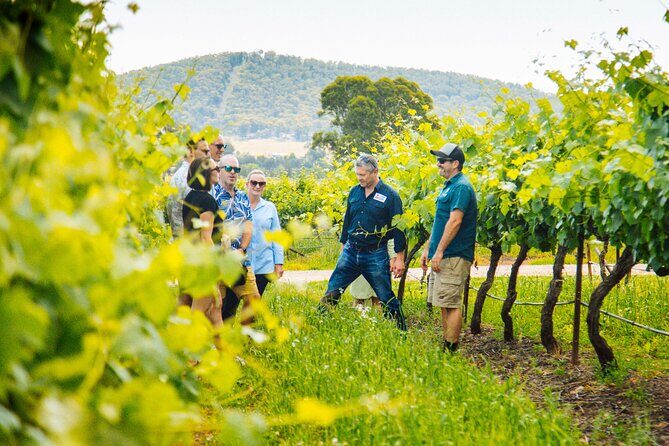 Hunter Valley Wine Tasting Tour from Sydney - An In-Depth Look at the Itinerary
