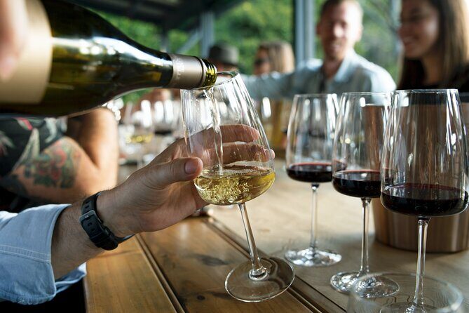 Hunter Valley Wine Tour ex Hunter Valley - Lunch, Cheese, Chocolate, Distillery - Practical Tips for Participants