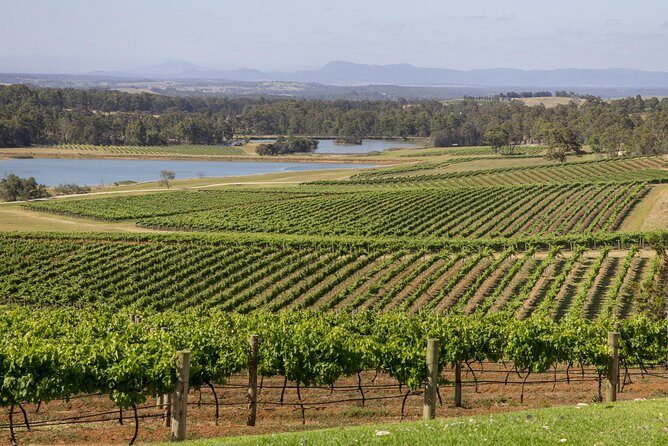 Hunter Valley Wine Tour from Sydney with Lunch and 3 Cellar Door Tastings - FAQ