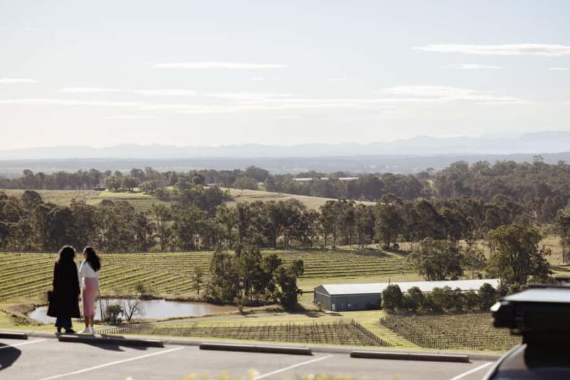 Hunter Valley: Wine Tour with 2-Course Lunch, Choc & Cheese - The Sum Up