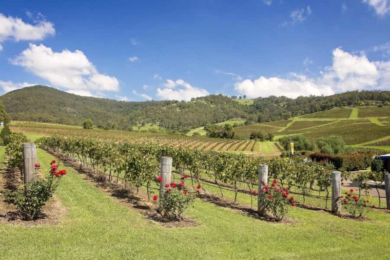 Hunter Valley: Wine Tour with 3 Tastings and Garden Lunch - Final Thoughts: Who Will Appreciate This Tour?