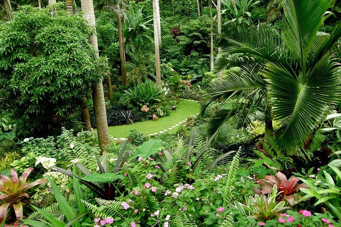 Hunte's Garden and St Nicholas Abbey small group Barbados tour - An In-Depth Look at the Tour