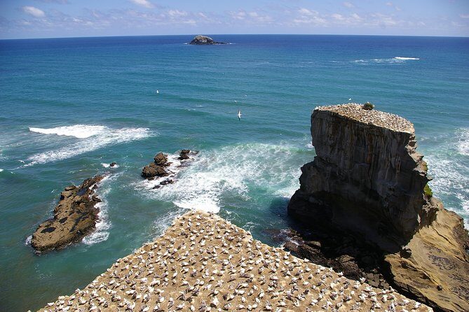 Hunua Falls and Blue Springs (Te Waihou): Private Tour - The Sum Up: Is This Tour Worth It?