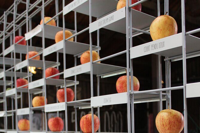 Huon Valley private wine and farm gate trail. - The Sum Up