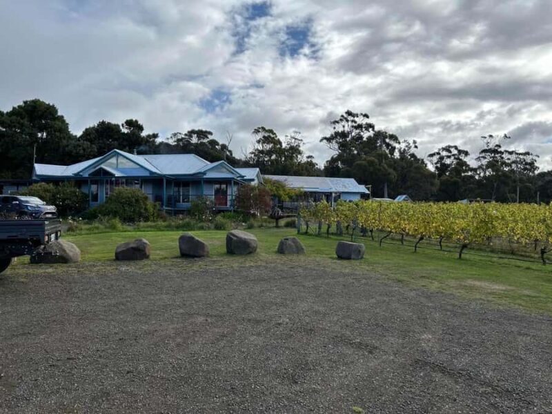 Huon Valley Wine & Cider Tour - Hobart & SE Tasmania - Exploring the Huon Valley Wine & Cider Tour – A Solid Choice for Enthusiasts