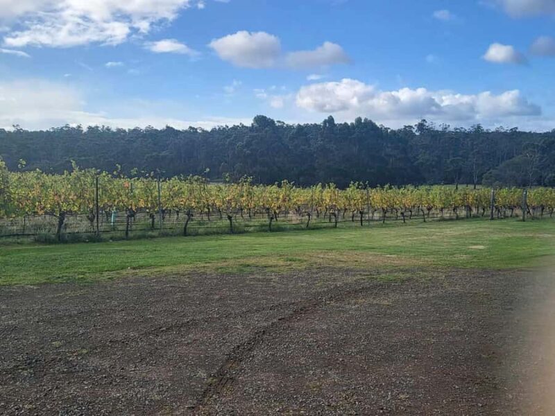 Huon Valley Wine & Cider Tour - Hobart & SE Tasmania - Who Will Love It?