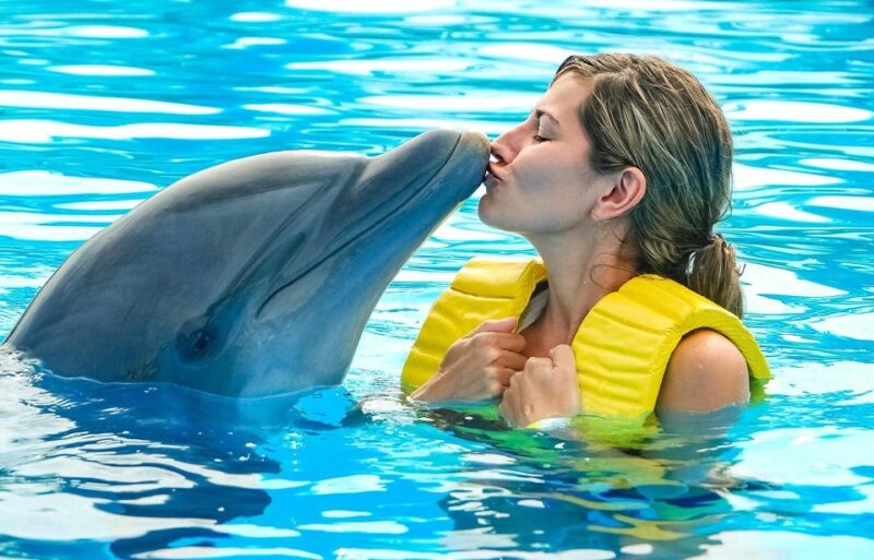 Hurghada: 1-Hour Show at Dolphin World With Optional Pickup - Show Experience