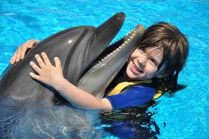 Hurghada: 1-Hour Show at Dolphin World With Optional Pickup - The Sum Up