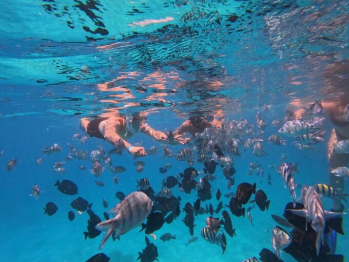 Hurghada: 4 Island Hopping Tour Dolphin, Snorkeling & Lunch - Customer Reviews