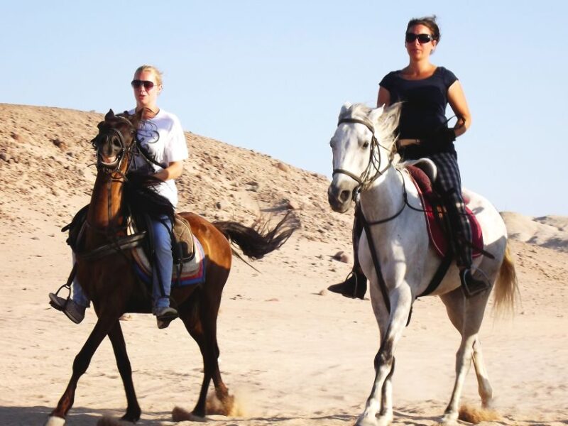 Hurghada: Arabian Desert and Sea Horseback Adventure - Pricing and Discounts