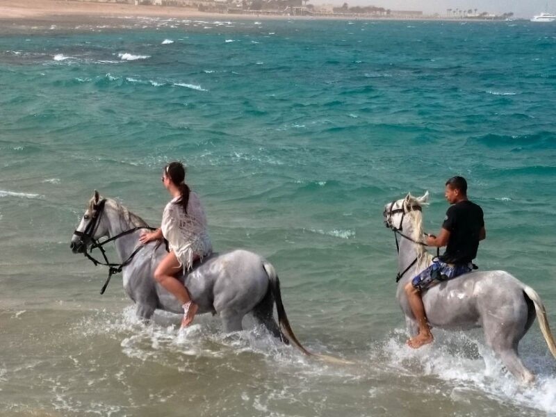 Hurghada: Arabian Desert and Sea Horseback Adventure - Customer Feedback and Ratings