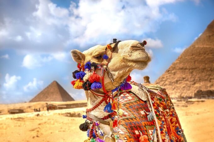 Hurghada: Camel Ride Along Pyramids of Giza & Cairo Museum - Preparing for Your Tour