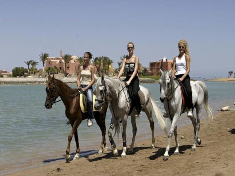 Hurghada: Desert and Sea Horseback Riding Tour With Transfer - Transfer Information