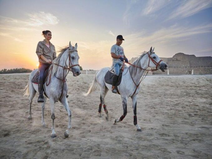 Hurghada: Desert and Sea Horseback Riding Tour With Transfer - Customer Reviews