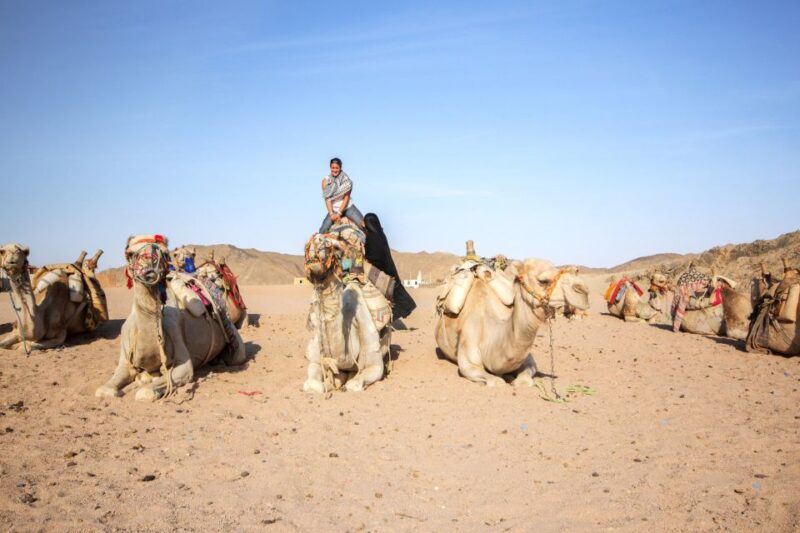 Hurghada: Desert Quad Bike Camel Ride With Optional Gopro - Customer Feedback and Ratings