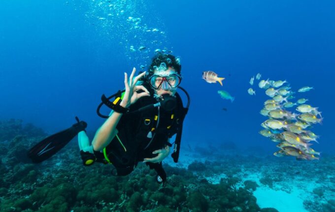 Hurghada: Diving and Snorkeling Tour With Transfers - Tips for First-Time Divers