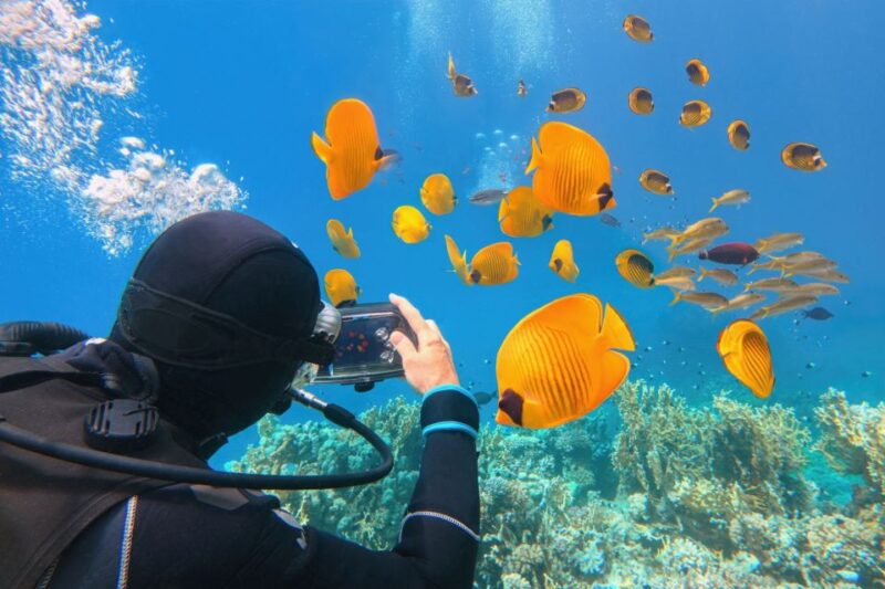 Hurghada: Diving & Snorkeling Cruise Tour W Lunch & Drinks - Good To Know