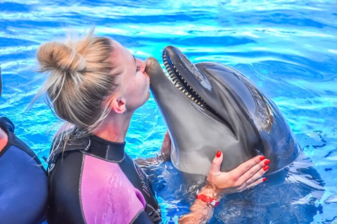 Hurghada: Dolphin World Private Swimming With Pickup - Dolphin Welfare Considerations
