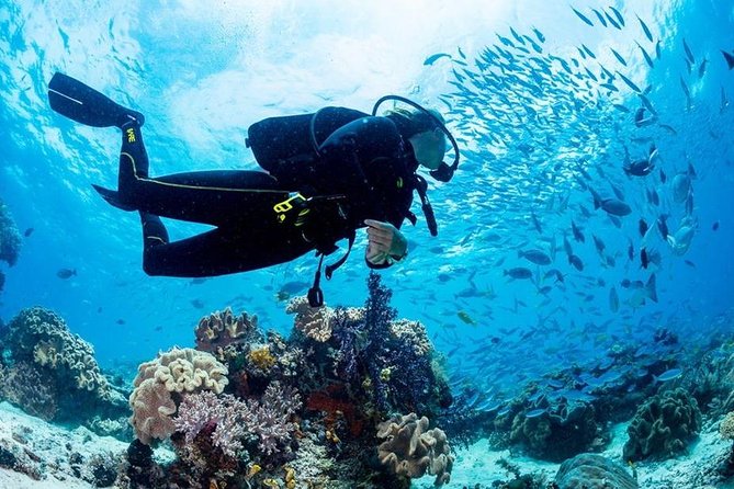 Hurghada: Full-Day Diving Tour With Lunch & Two Dive Sites - Customer Reviews