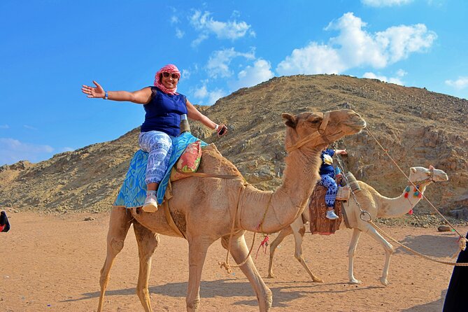 Hurghada: Full Day Jeep, Quad Bike, Buggy and Bedouin Dinner - Key Points