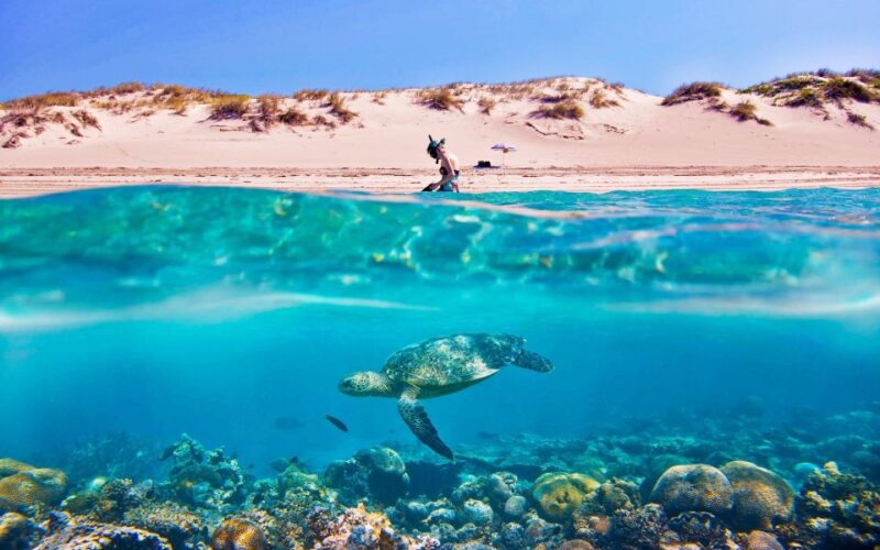 Hurghada: Giftun Island Tour With Snorkeling & Buffet Lunch - Snorkeling Experience