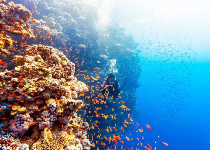 Hurghada: Giftun & Orange Bay Tour With Snorkeling & Lunch - Booking and Cancellation