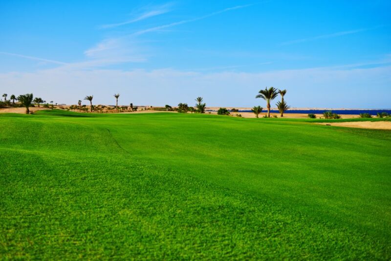 Hurghada: Golfing at the Madinat Makadi Golf Resort - Good To Know