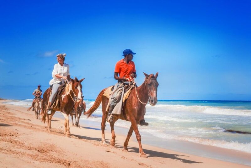 Hurghada: Horse Ride Along the Sea & Desert With Transfers - Good To Know