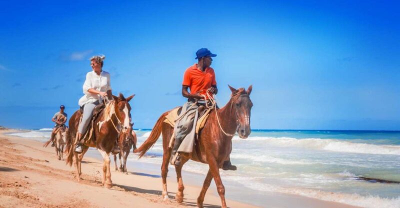 Hurghada: Horse Ride Along the Sea & Desert With Transfers - Highlights of the Experience
