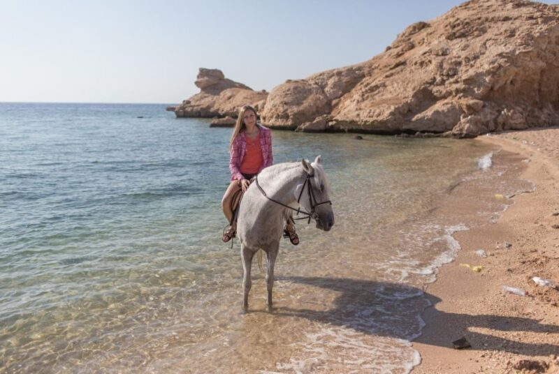 Hurghada: Horse Ride Along the Sea & Desert With Transfers - Customer Ratings and Feedback