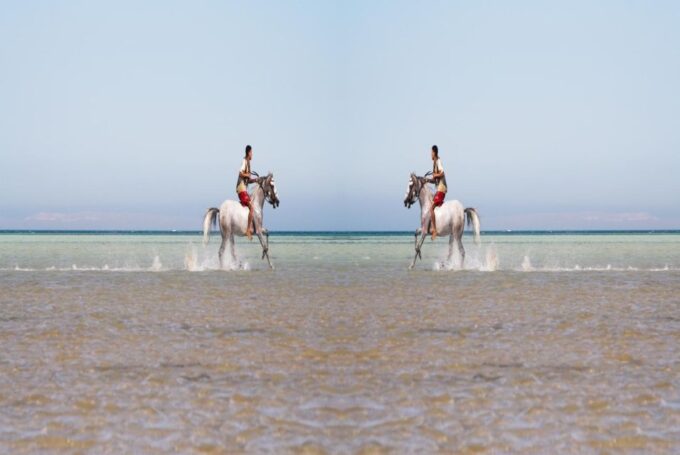Hurghada: Horse Ride Along the Sea & Desert With Transfers - Booking and Cancellation Policy